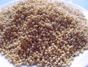 贵州特产 黄平糯小米高原小米(糯小米)栗子米称重500克食用农产品